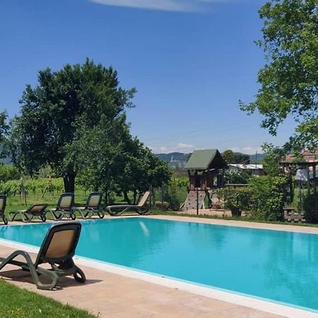 Agriturismo L'Albara - Wines, Pool & Spa Villaganzerla Exterior photo