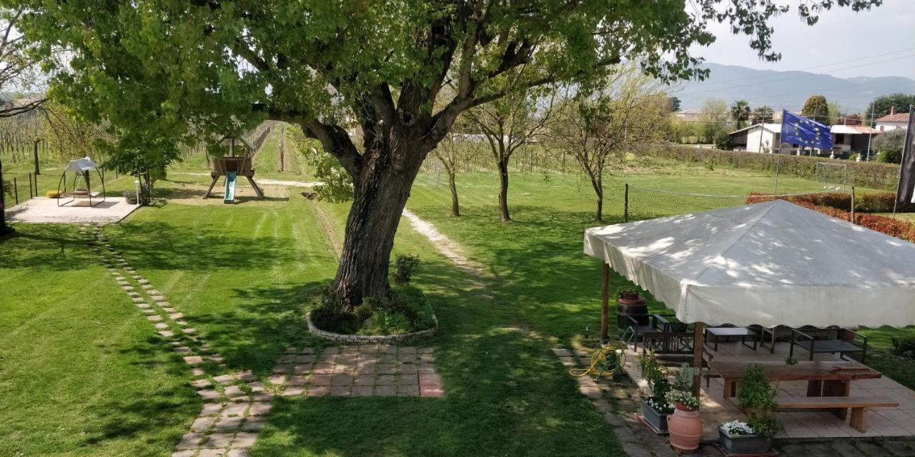 Agriturismo L'Albara - Wines, Pool & Spa Villaganzerla Exterior photo
