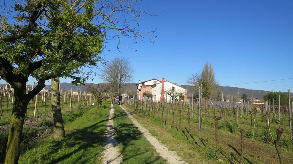 Agriturismo L'Albara - Wines, Pool & Spa Villaganzerla Exterior photo