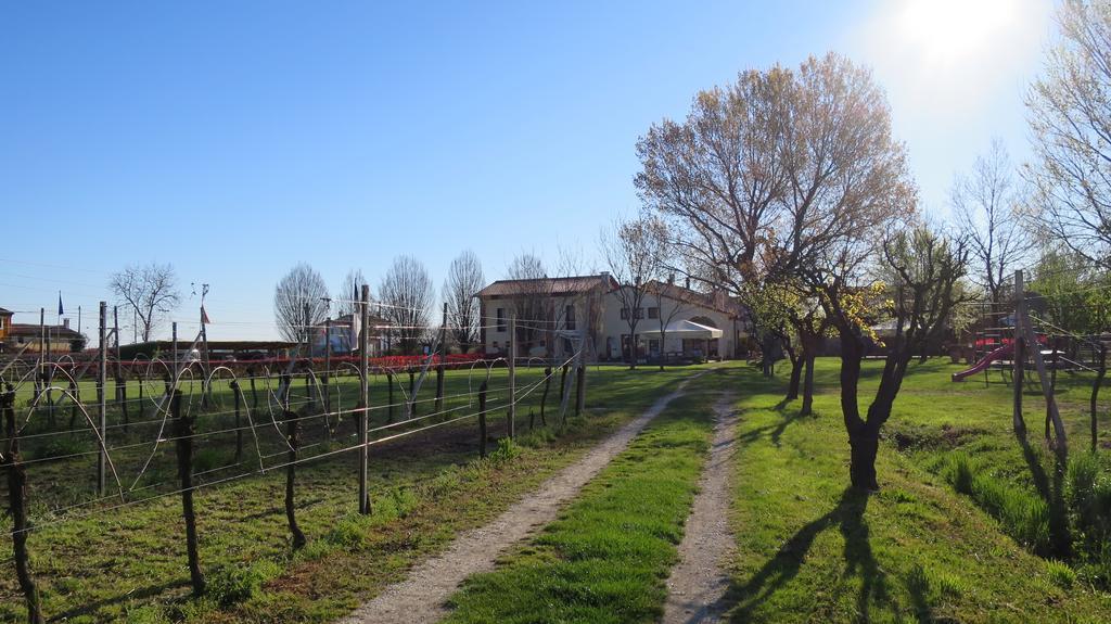 Agriturismo L'Albara - Wines, Pool & Spa Villaganzerla Exterior photo