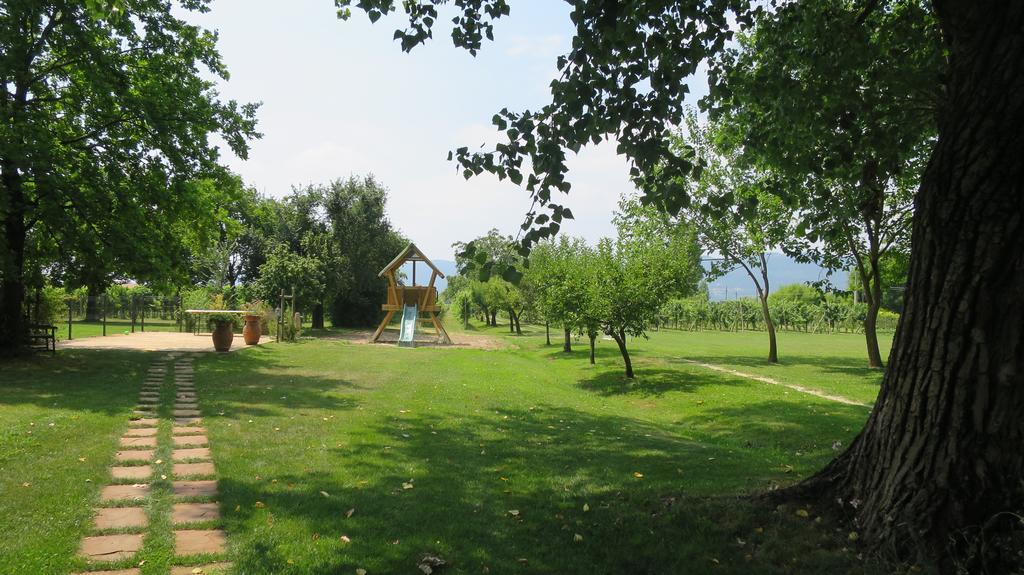 Agriturismo L'Albara - Wines, Pool & Spa Villaganzerla Exterior photo